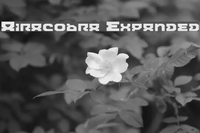 Airacobra Expanded फ़ॉन्ट examples