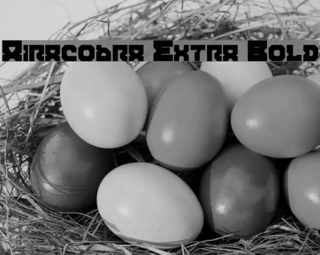 Airacobra Extra Bold Font examples