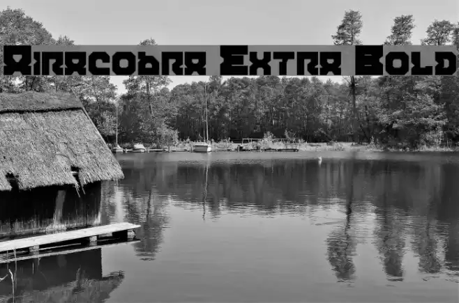 Airacobra Extra Bold Font examples