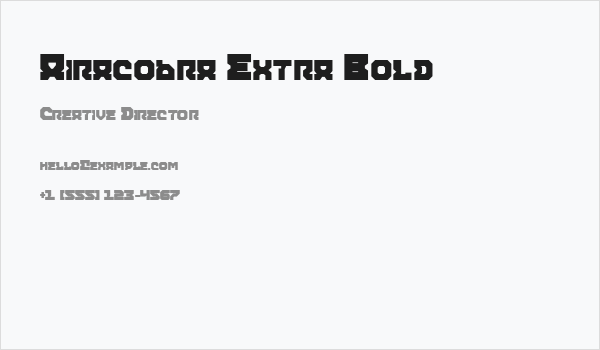 Airacobra Extra Bold Business Card