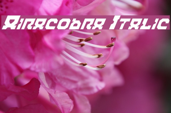 Airacobra Italic Font examples
