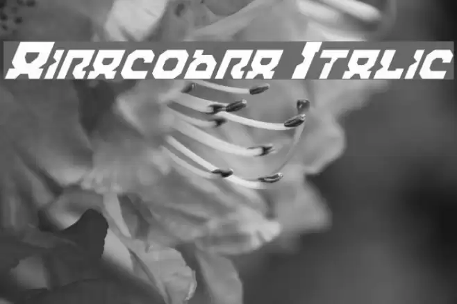 Airacobra Italic Fuentes examples