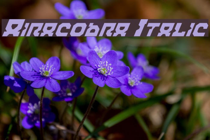 Airacobra Italic Font examples