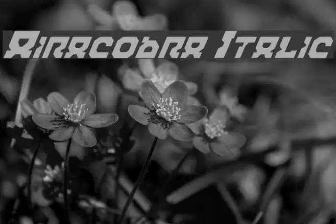 Airacobra Italic Fuentes examples