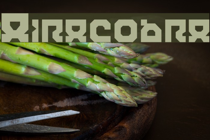 Airacobra फ़ॉन्ट examples