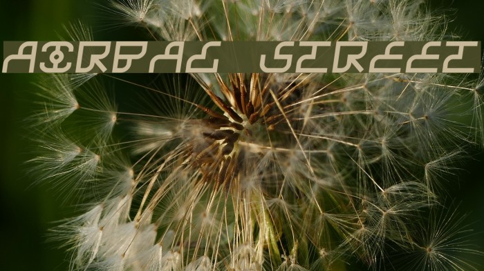 Airbag Street Font examples
