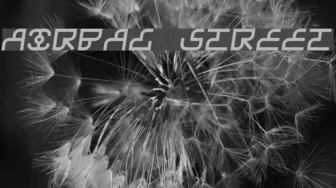 Airbag Street Font examples