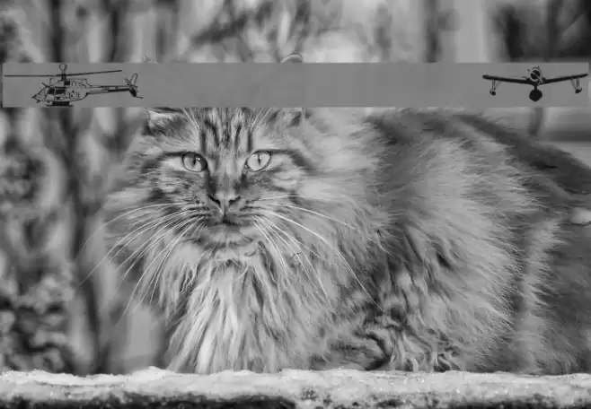 Aircraft1 Font examples