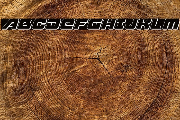 Aircruiser 3D Italic Example 2