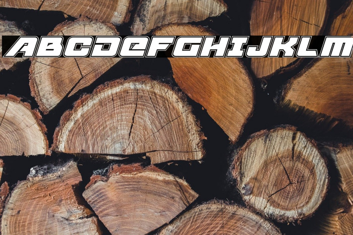 Aircruiser Academy Italic Example 3