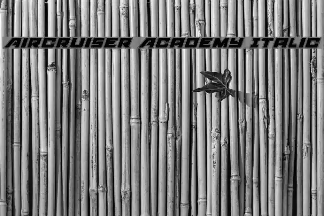 Aircruiser Academy Italic Font examples