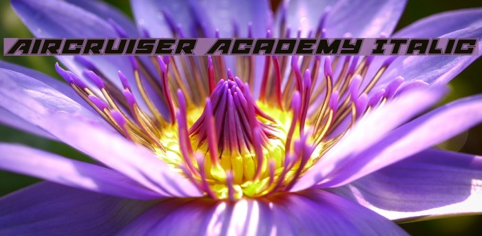 Aircruiser Academy Italic Font examples