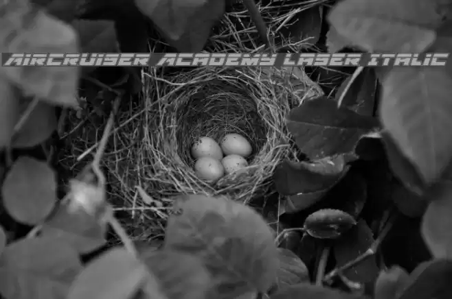 Aircruiser Academy Laser Italic Font examples