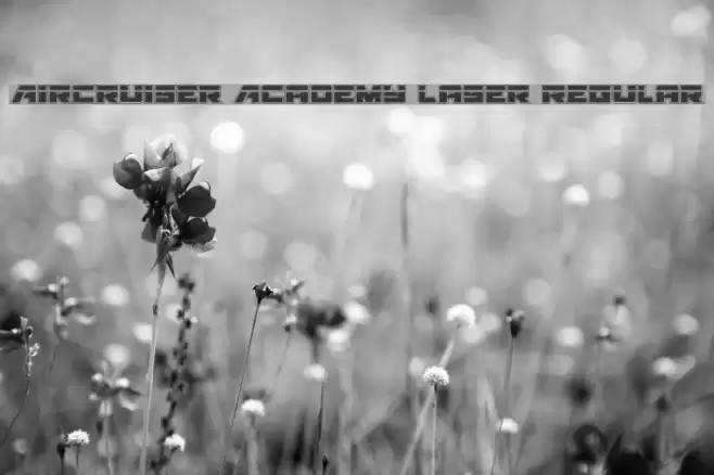 Aircruiser Academy Laser Regular Font examples