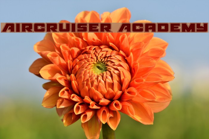 Aircruiser Academy Example 2