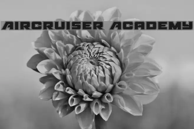 Aircruiser Academy Font examples