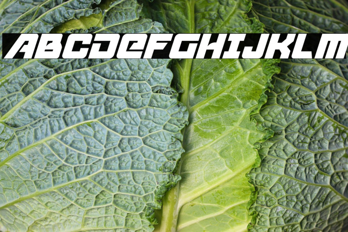 Aircruiser Condensed Italic Example 3