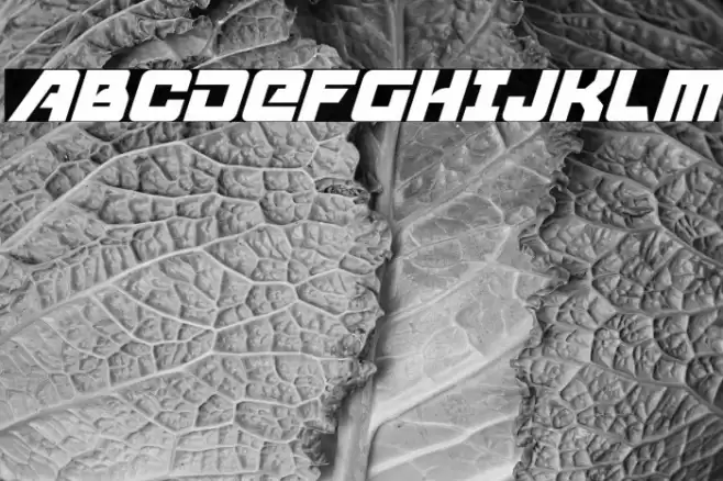 Aircruiser Condensed Italic Font examples