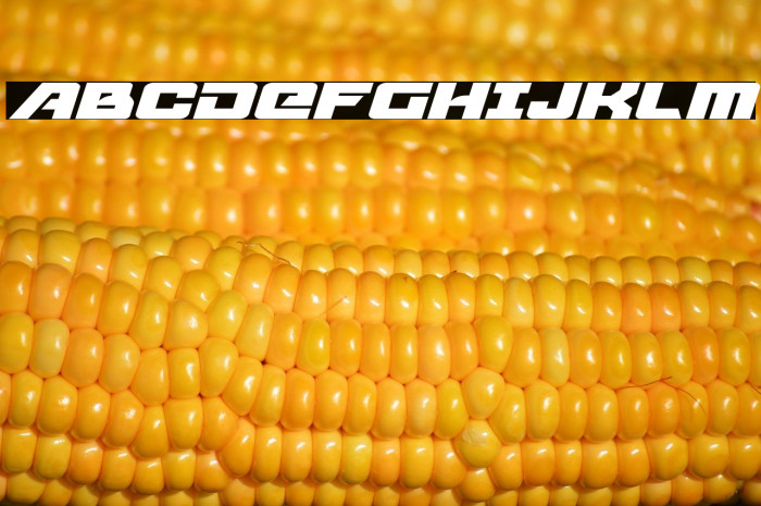 Aircruiser Expanded Italic Example 1