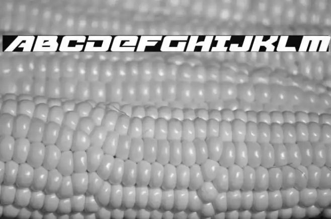 Aircruiser Expanded Italic Example 1