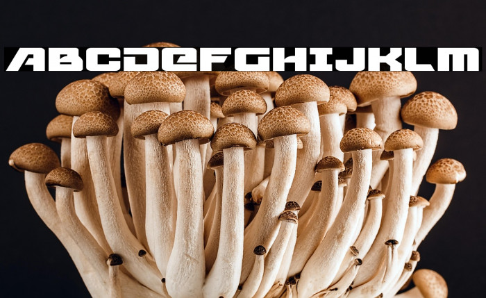 Aircruiser Expanded Example 2