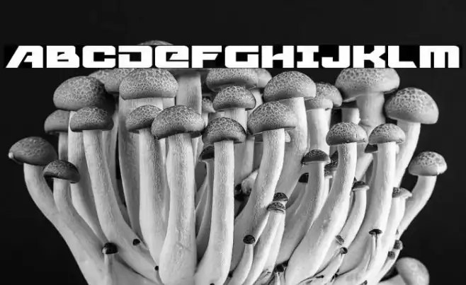 Aircruiser Expanded Example 2