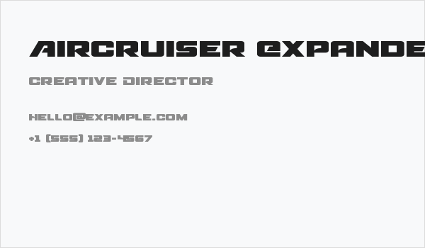 Aircruiser Expanded Business Card