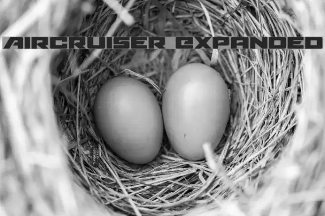 Aircruiser Expanded Font examples