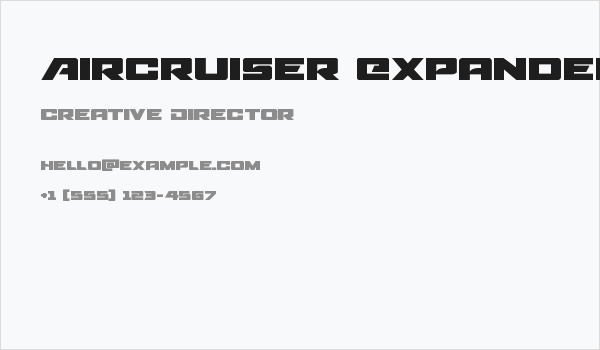 Aircruiser Expanded Business Card