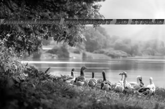 Aircruiser Gradient 3D Italic Font examples