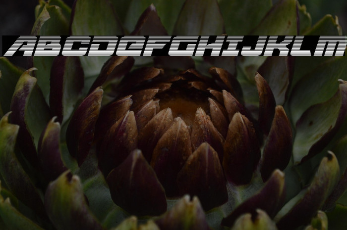 Aircruiser Gradient Italic Example 1