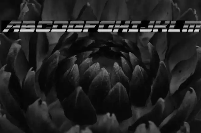 Aircruiser Gradient Italic Example 1