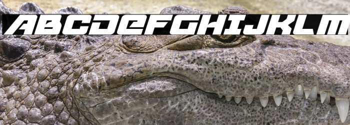 Aircruiser Italic Example 1