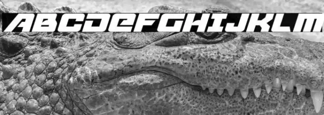 Aircruiser Italic Example 1