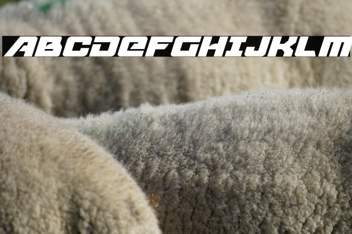 Aircruiser Italic Example 3