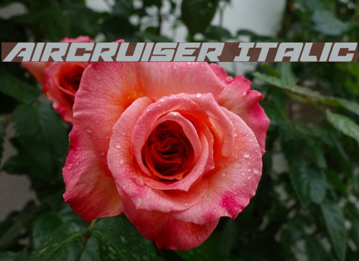 Aircruiser Italic Font examples