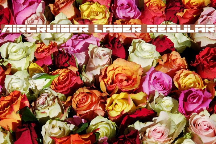 Aircruiser Laser Regular Font examples
