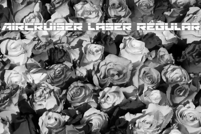 Aircruiser Laser Regular Example 2