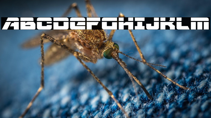 Aircruiser Laser Example 3