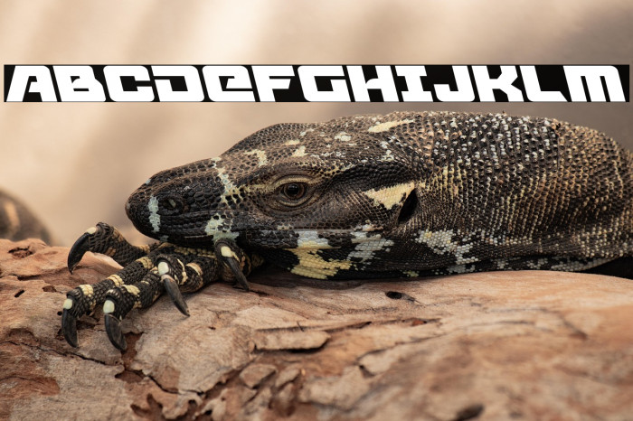 Aircruiser Leftalic Example 1