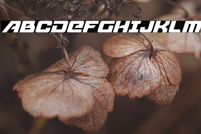 Aircruiser Light Italic Example 2