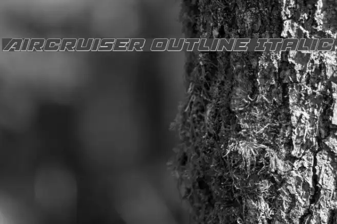 Aircruiser Outline Italic Example 1