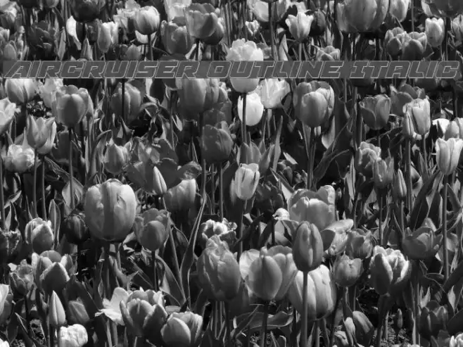 Aircruiser Outline Italic Example 2