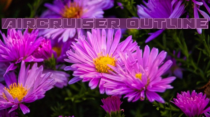 Aircruiser Outline Font examples