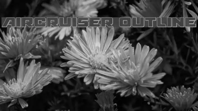 Aircruiser Outline Example 1