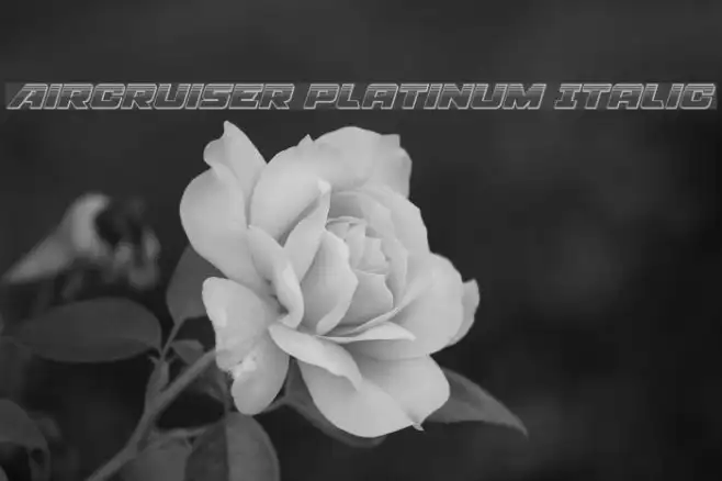 Aircruiser Platinum Italic Example 3