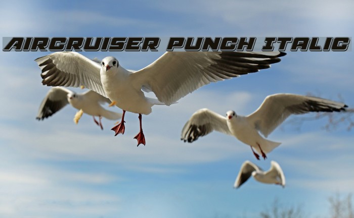 Aircruiser Punch Italic Font examples