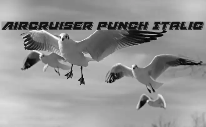 Aircruiser Punch Italic Example 2