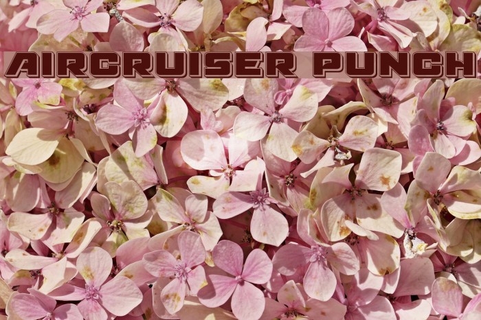 Aircruiser Punch Font examples
