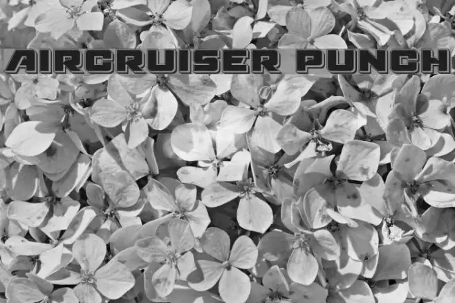 Aircruiser Punch Example 3